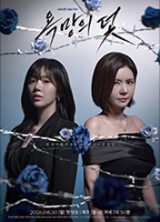 욕망의 덫